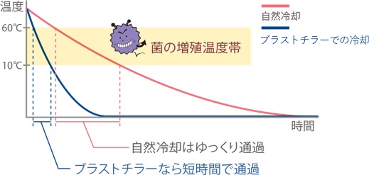 6型 - ブラストチラー/ショックフリーザー - 急速凍結・解凍機器