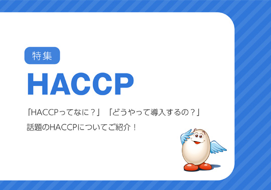 お役立ちe-Book「HACCP」